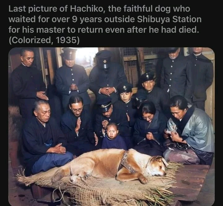 Sandro上傳的圖片