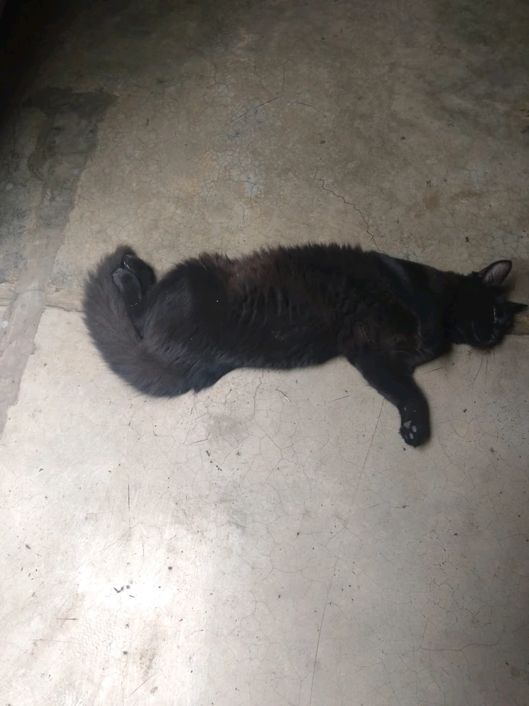 Imagen subida por Miguel