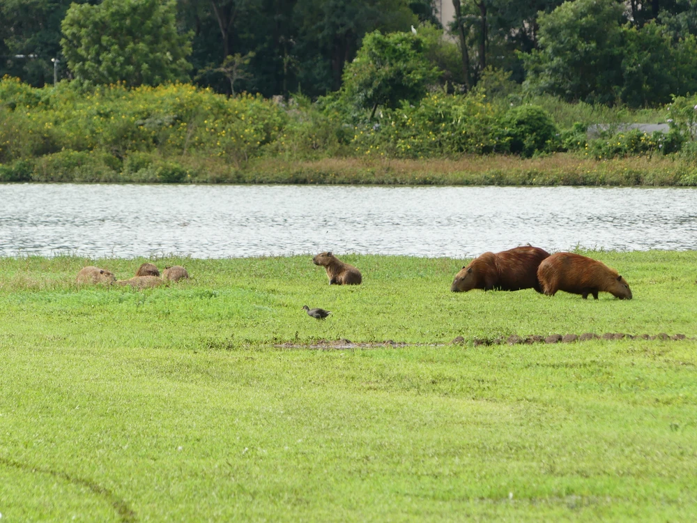 Image uploaded by Brad