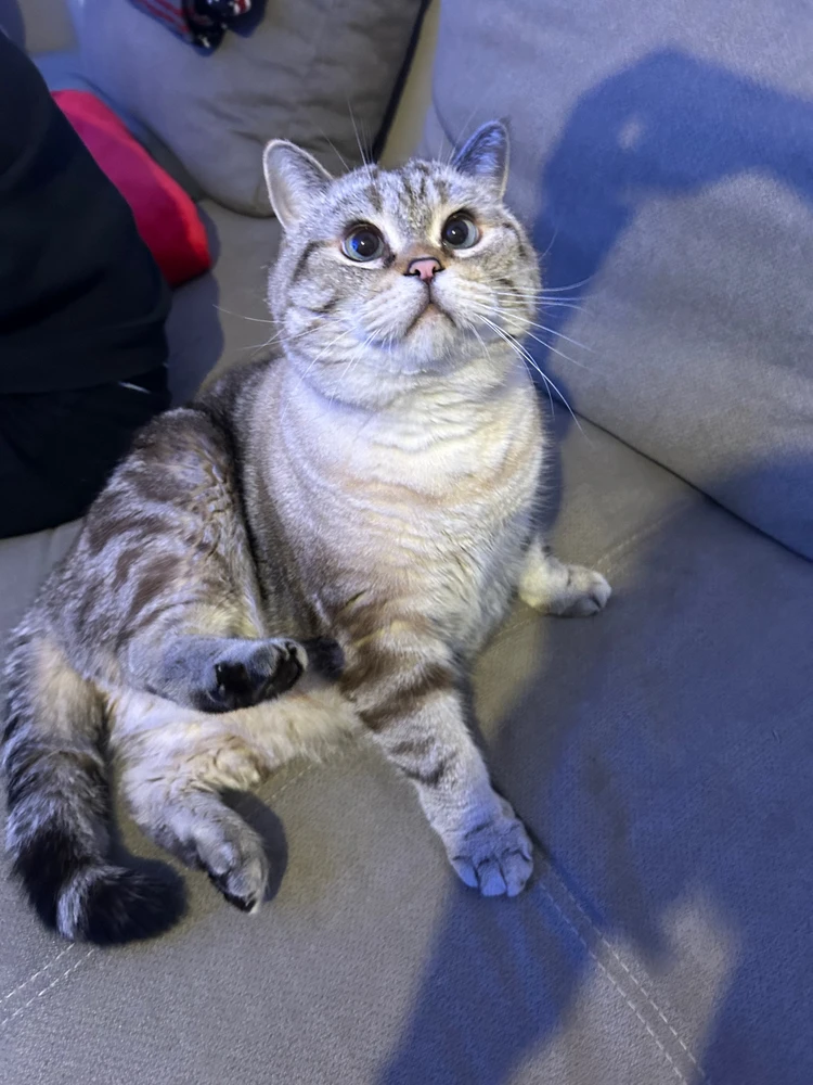 Bild hochgeladen von robert