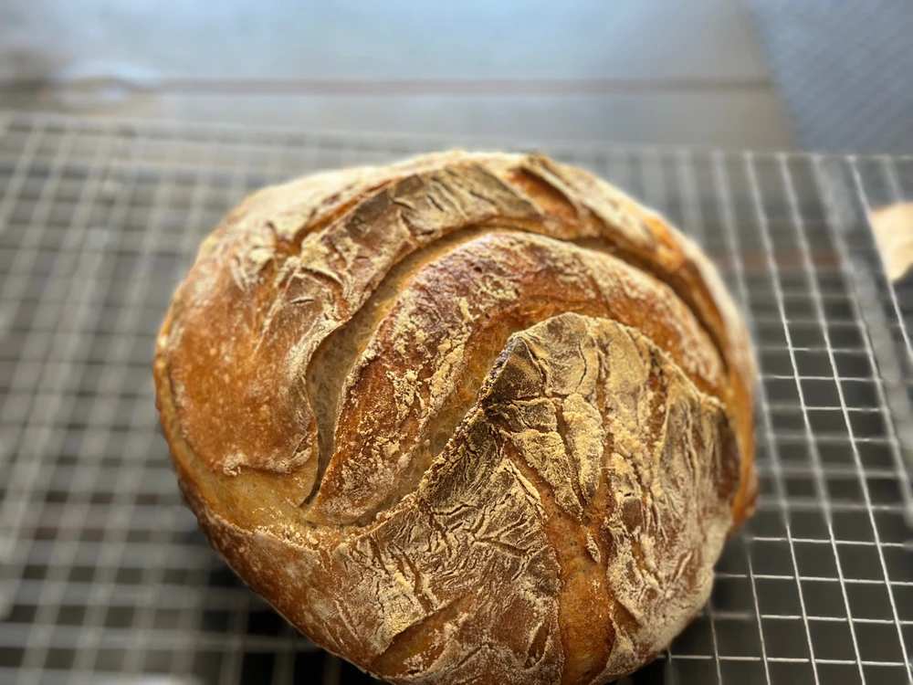 Image uploaded by Carson