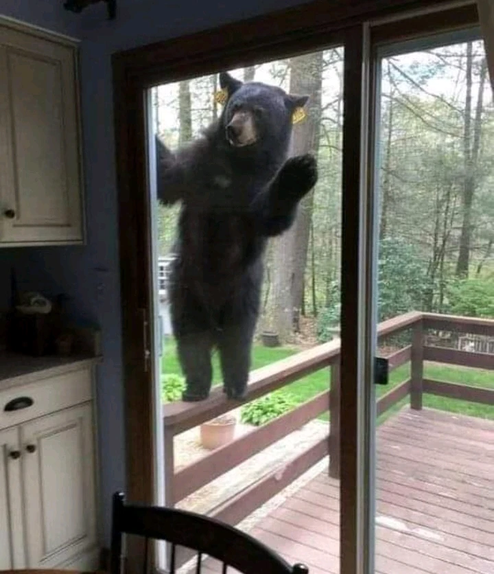 Image uploaded by ♥️ Silly_girl 😘