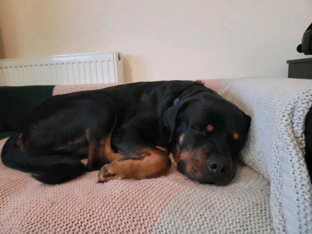 Image uploaded by Gary