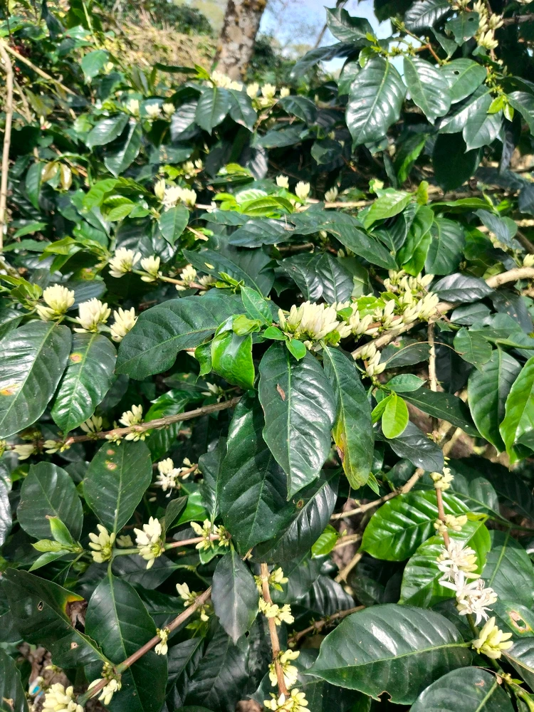 Gambar diunggah oleh ERsya