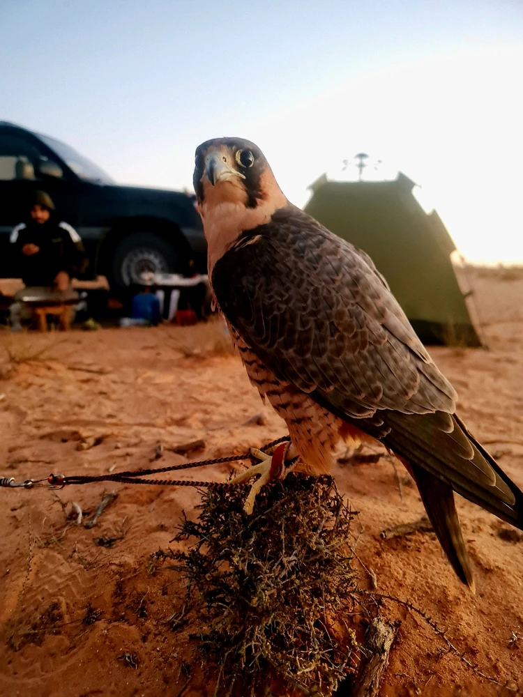 Image uploaded by Mercer