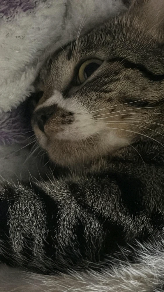 Cici上傳的圖片