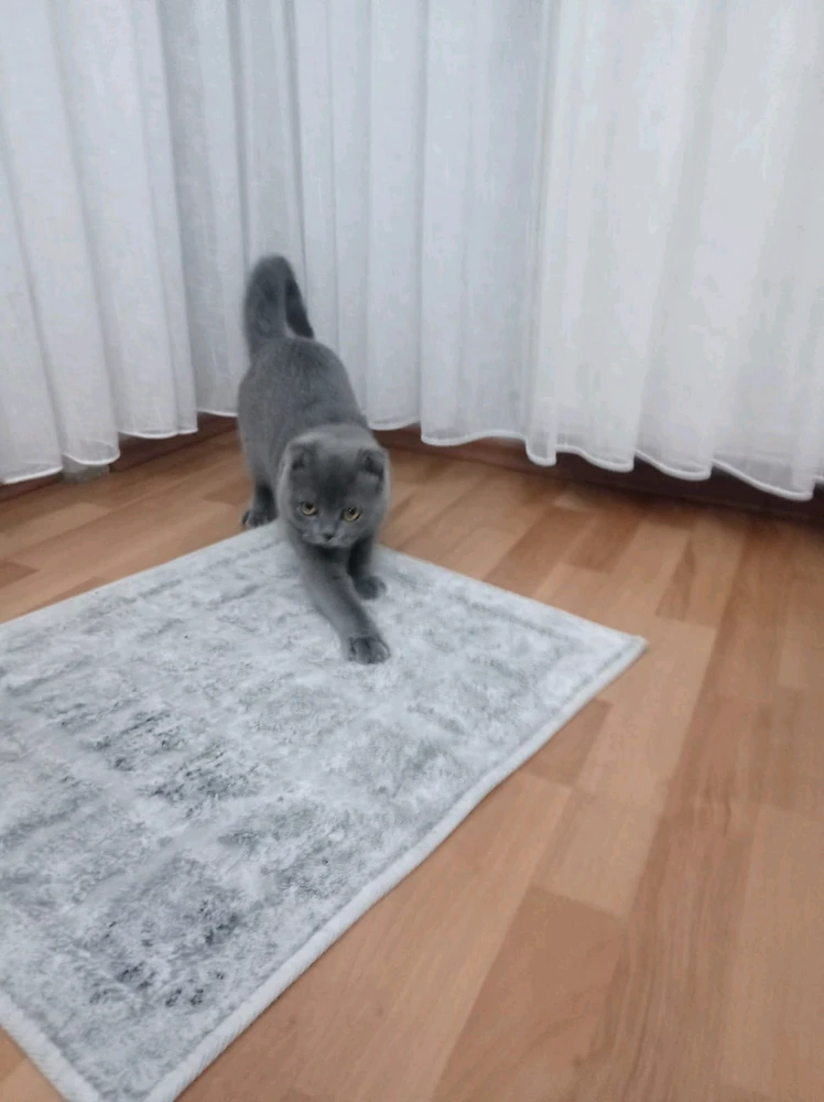 Yusuf Ahmet tarafından yüklenen görsel