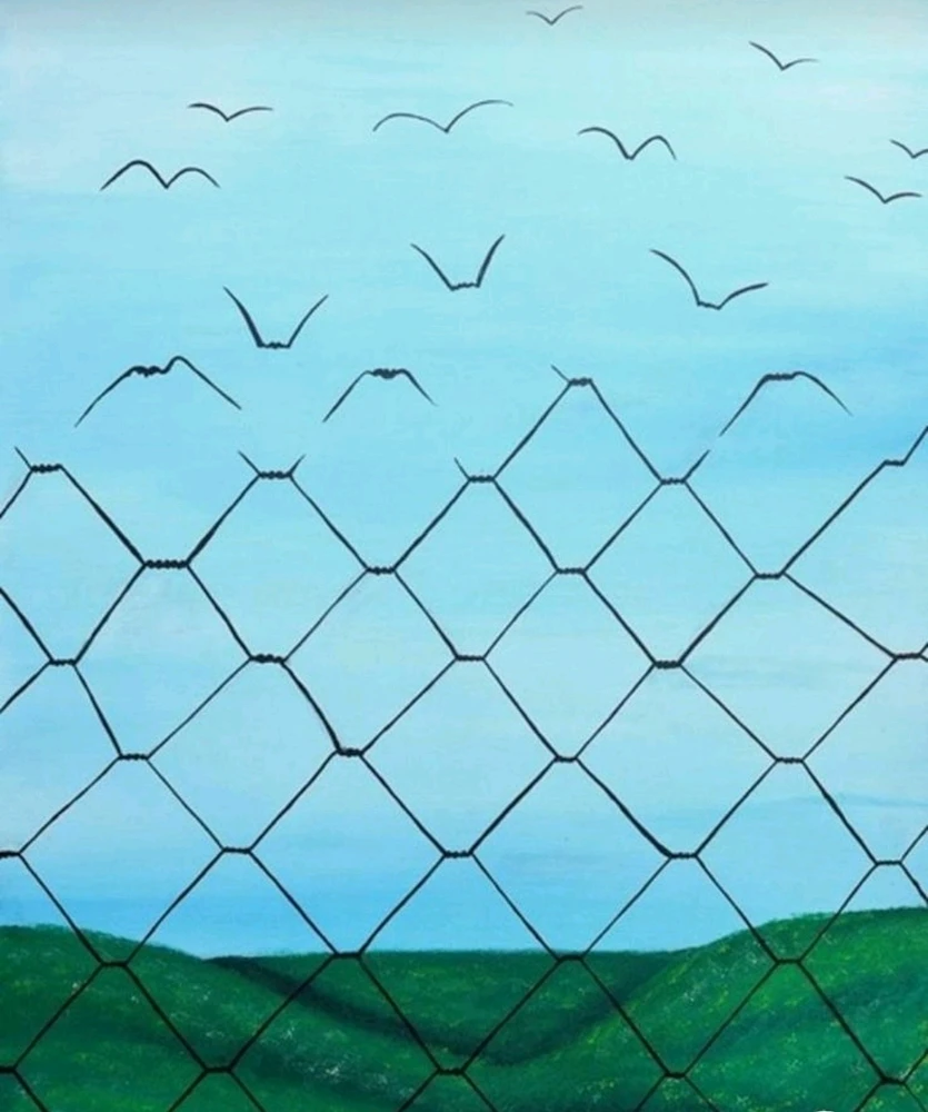 Image ajoutée par Franck