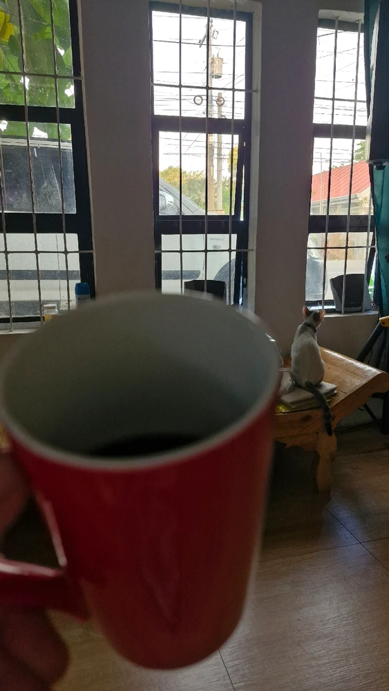 Image ajoutée par Liza