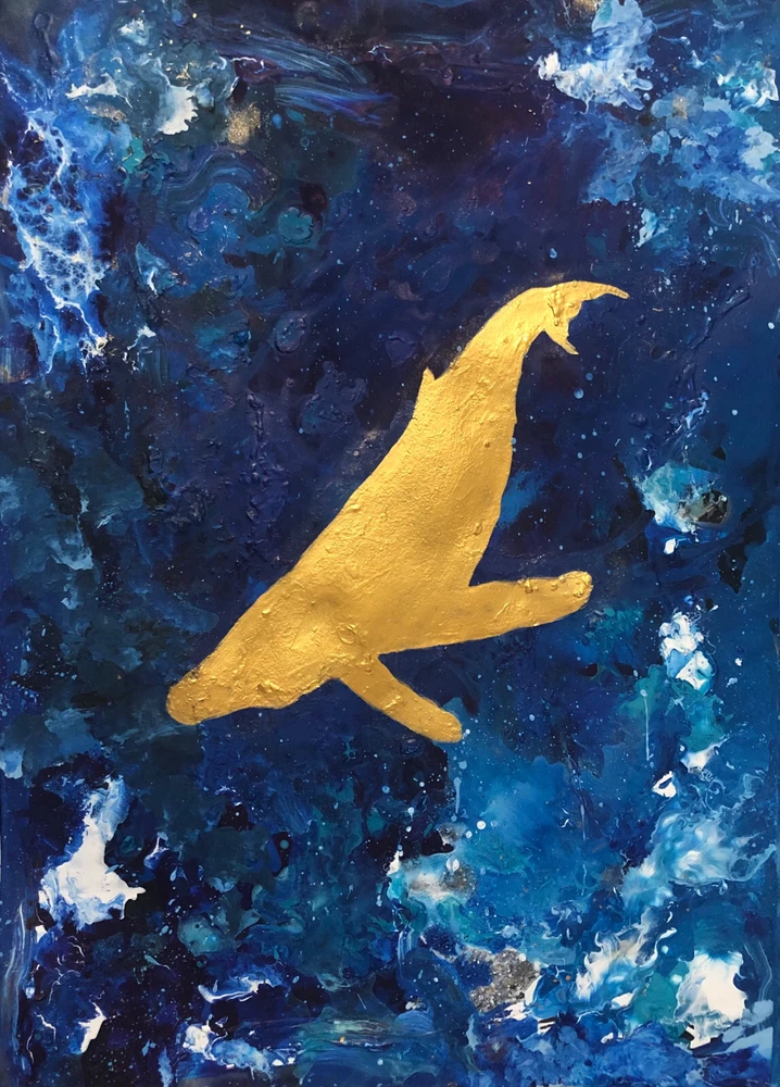 Image uploaded by Joe