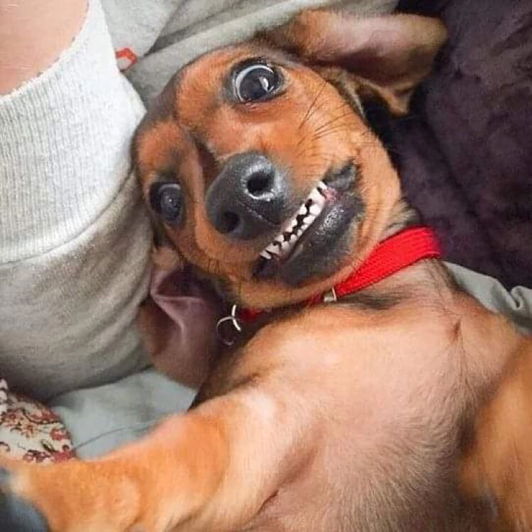 Norbi által feltöltött kép