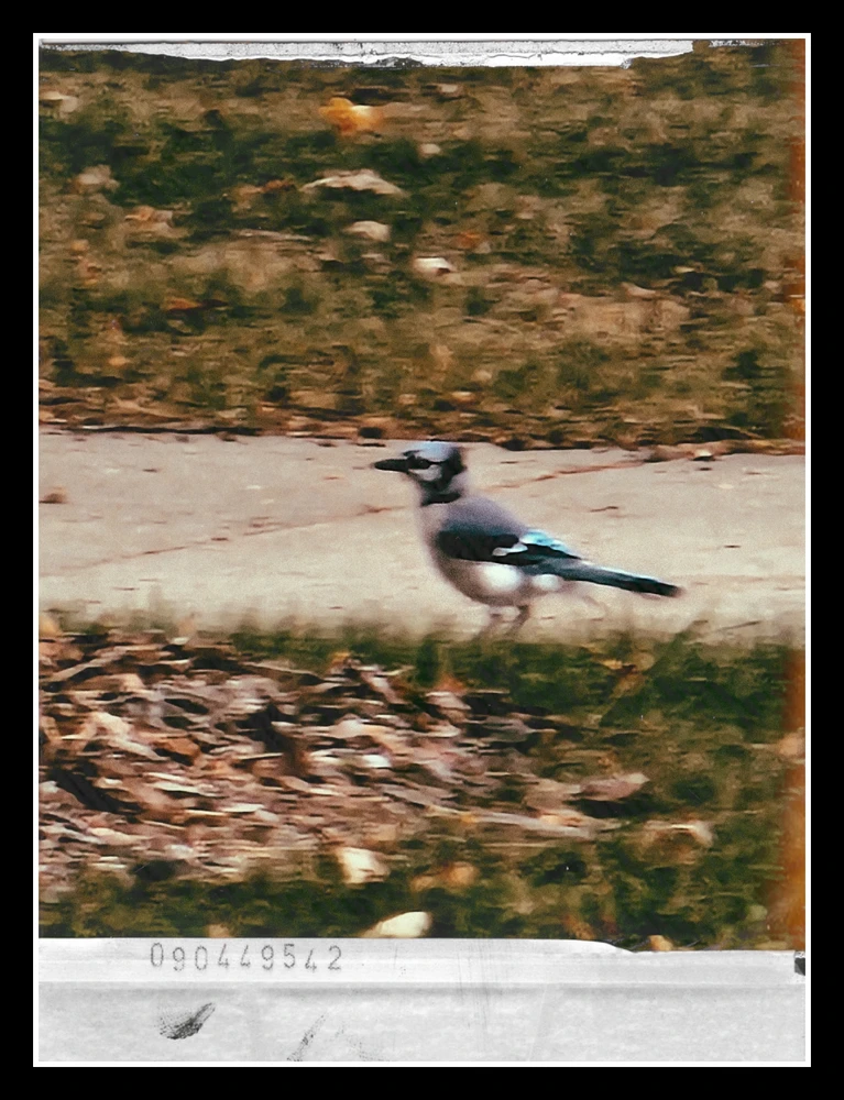 Gambar diunggah dening Mika