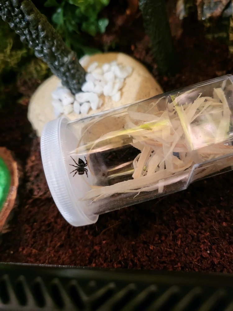 Bild hochgeladen von Franzi