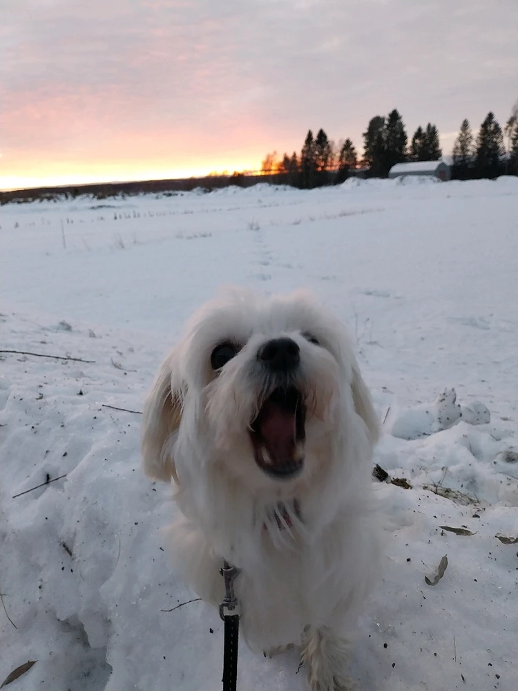Bild uppladdad av Xen