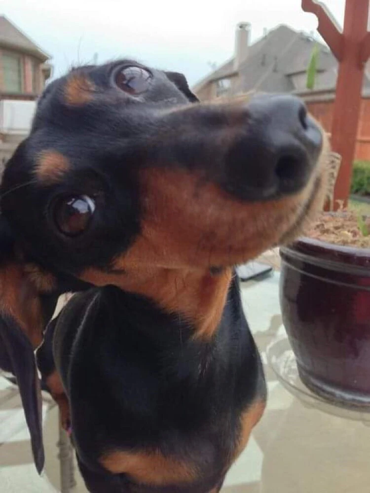 Norbi által feltöltött kép