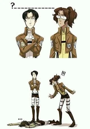 Levi vrs Hange