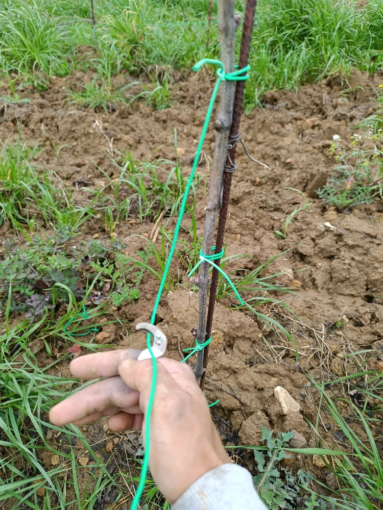 Imagine încărcată de Răzvan