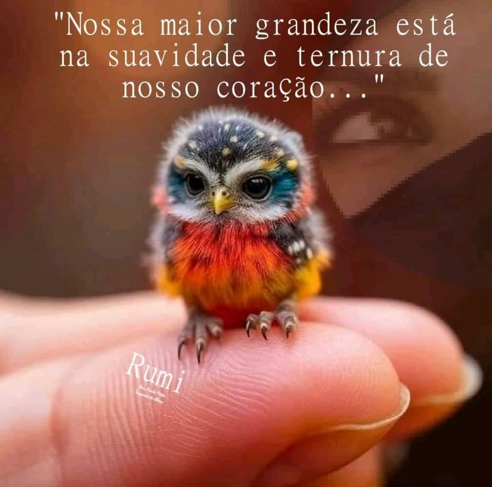 Gambar diunggah dening Álvaro Linhares