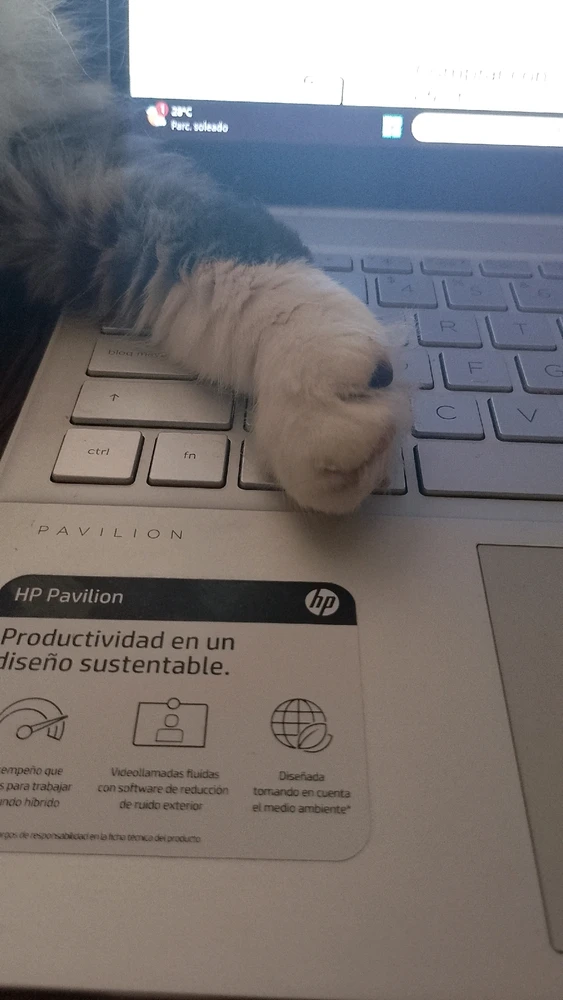 Image uploaded by John32m