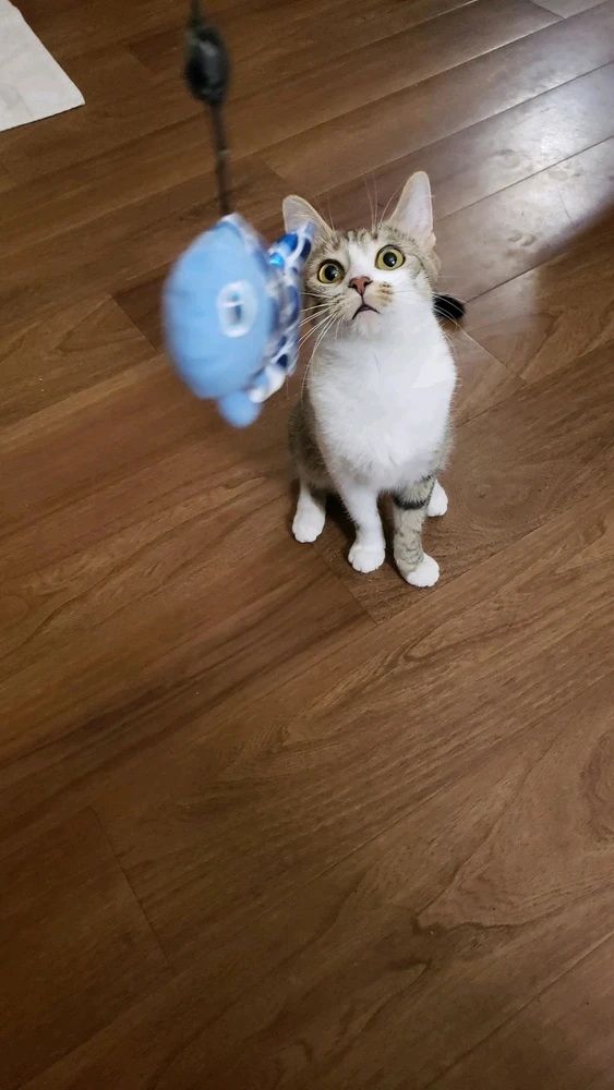 Image uploaded by Ty