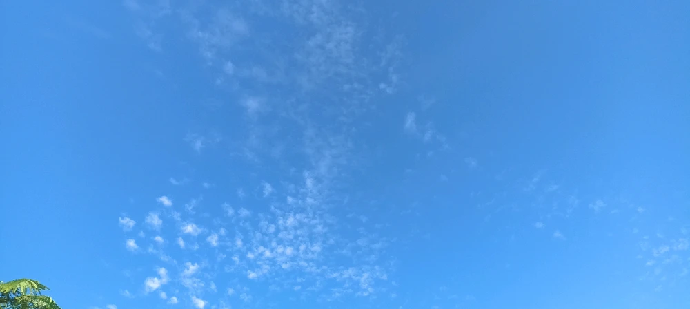 Imagen subida por Andy