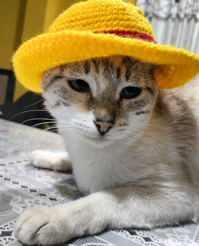 Mi One Piece ❤️‍🩹🥰