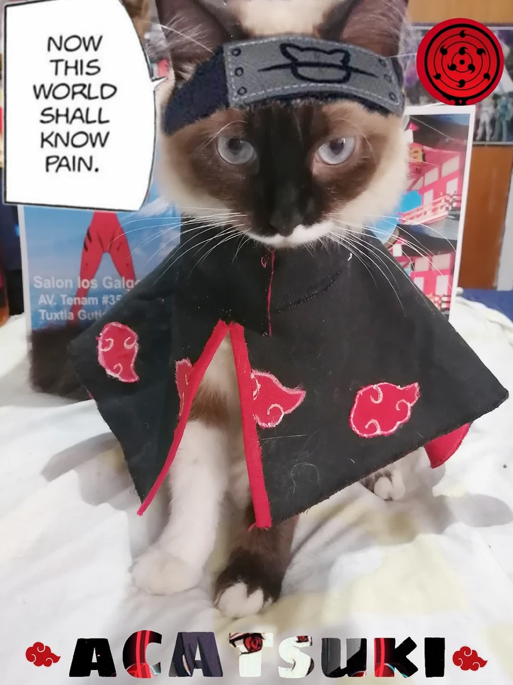 Imagen subida por Estefania