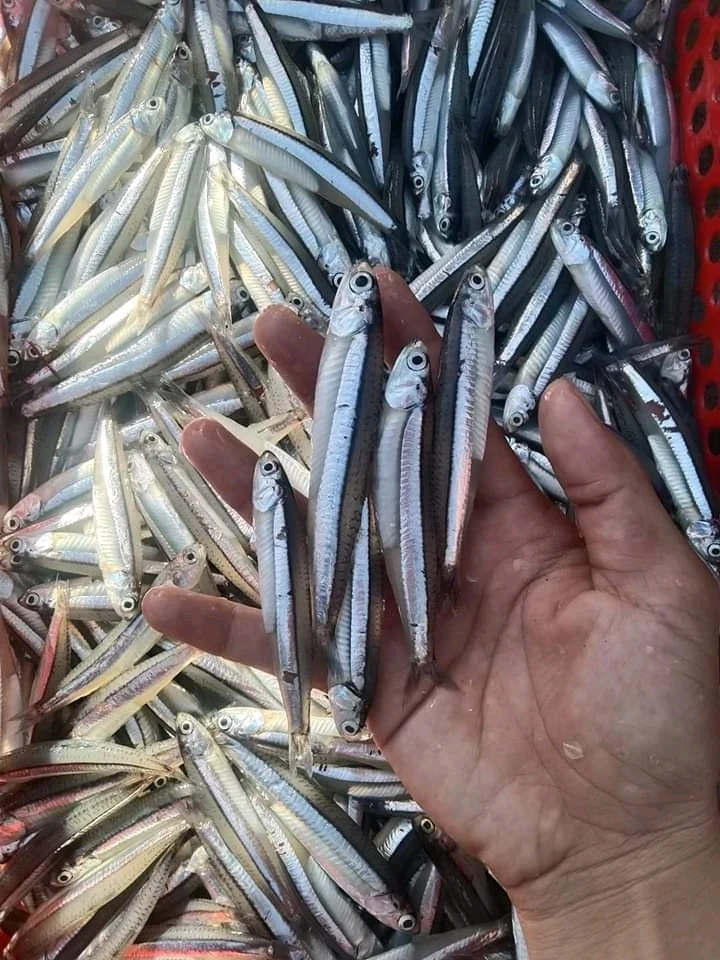 Ảnh do Nhanh tải lên