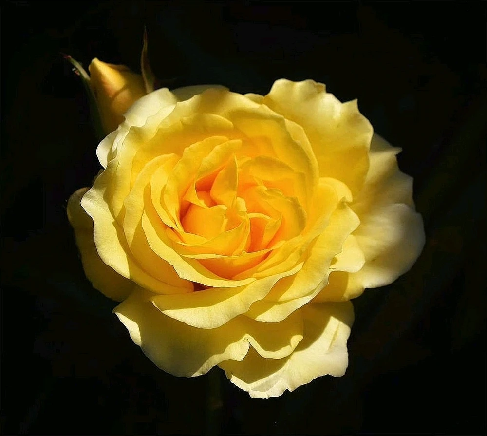 Image ajoutée par Caroline