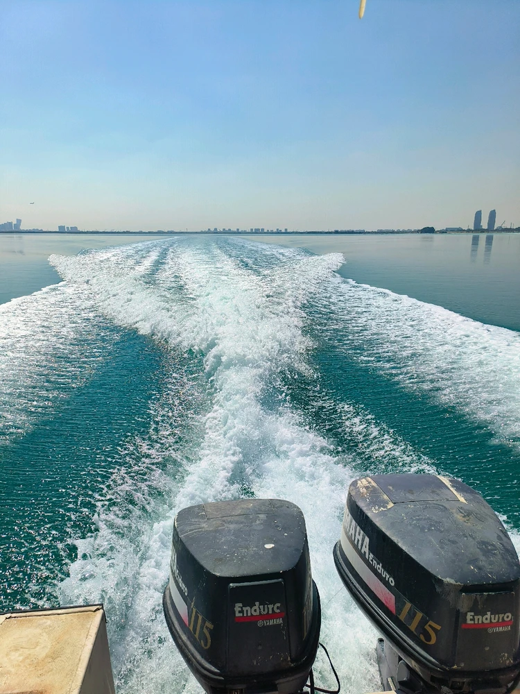 Image uploaded by Yasser