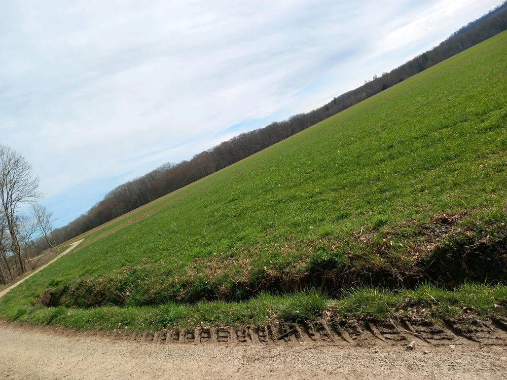 Image ajoutée par Audrey 🤡