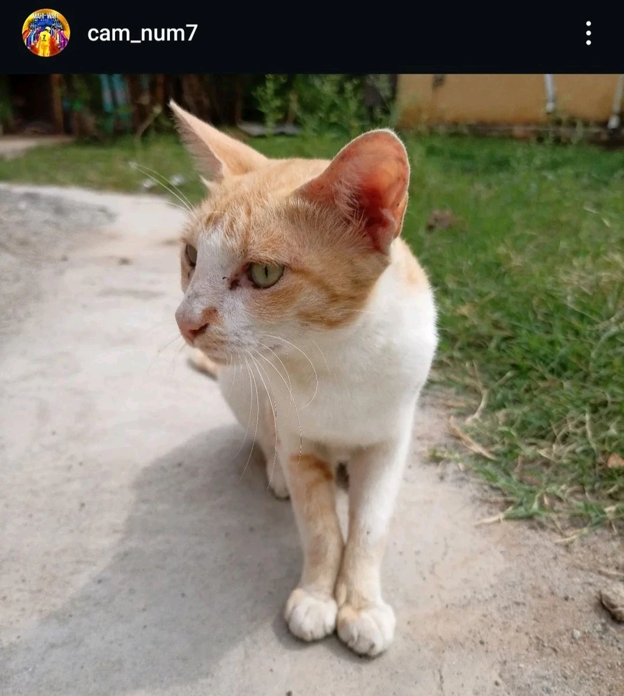 Image uploaded by Mithரன்