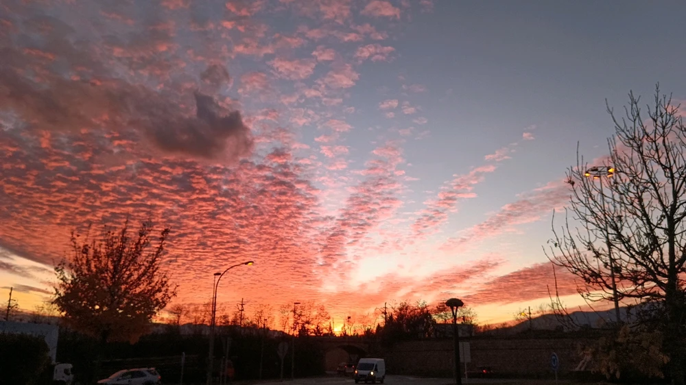 Imatge pujada per Sarai