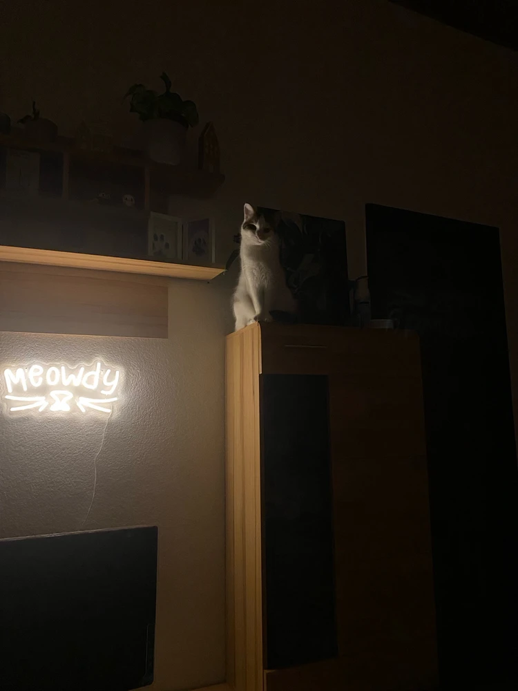 Bild hochgeladen von Alicia