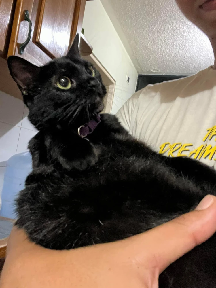 Image ajoutée par Alejandro