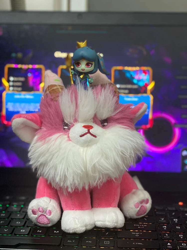 Ảnh do Hồng Anh tải lên