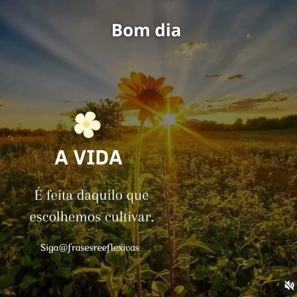 Gambar diunggah dening Álvaro Linhares