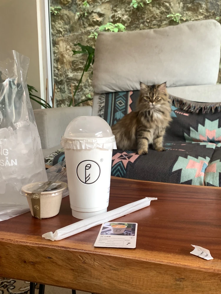 Ảnh do Phương tải lên