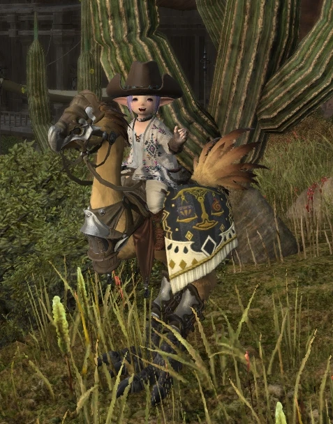 Image uploaded by Jessica