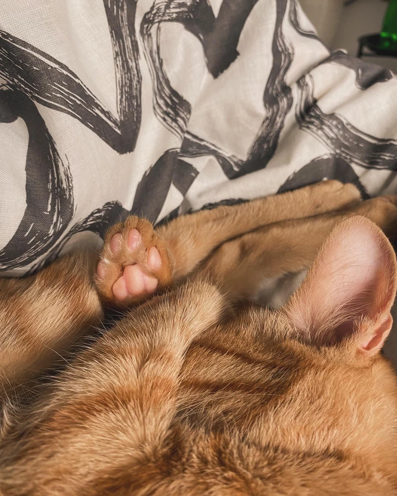 Zdjęcie dodane przez Martyna