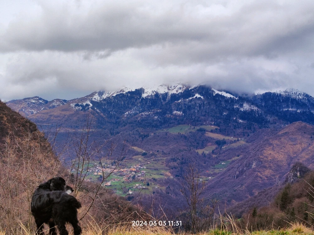Bild hochgeladen von Gian