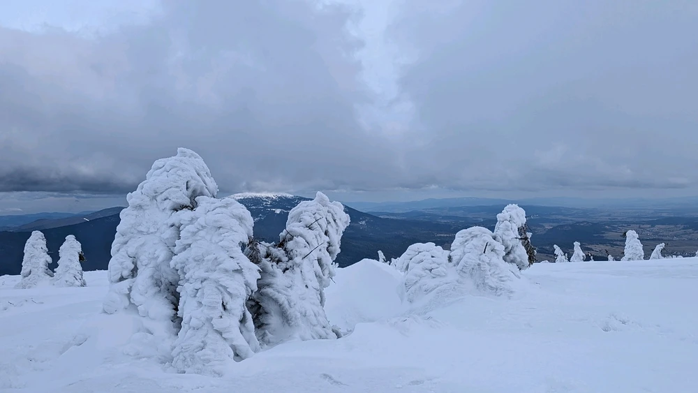 Зображення завантажив Yaroslav