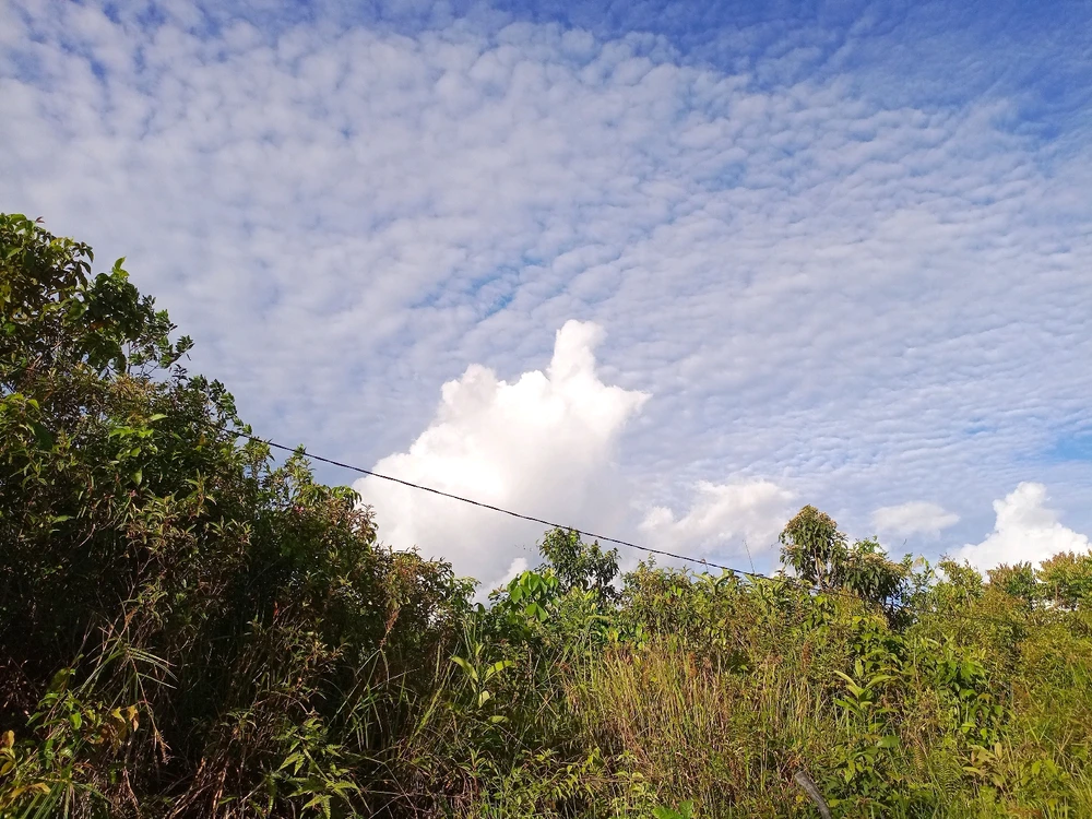 Image uploaded by Henny