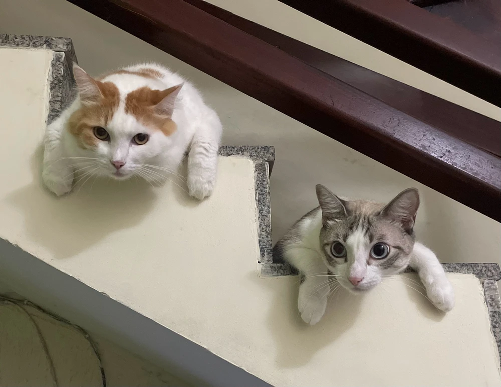 Imagem enviada por Dayane