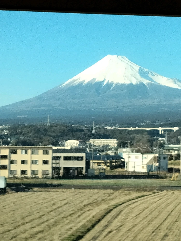 Image uploaded by Mg
