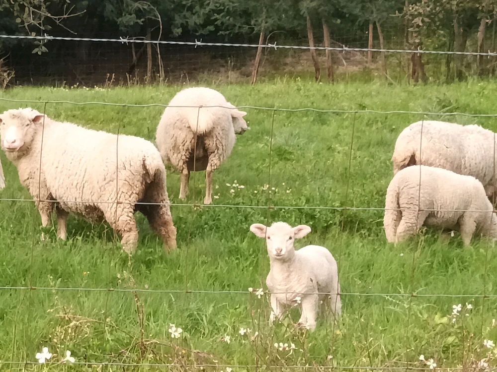 Imagem enviada por Josh