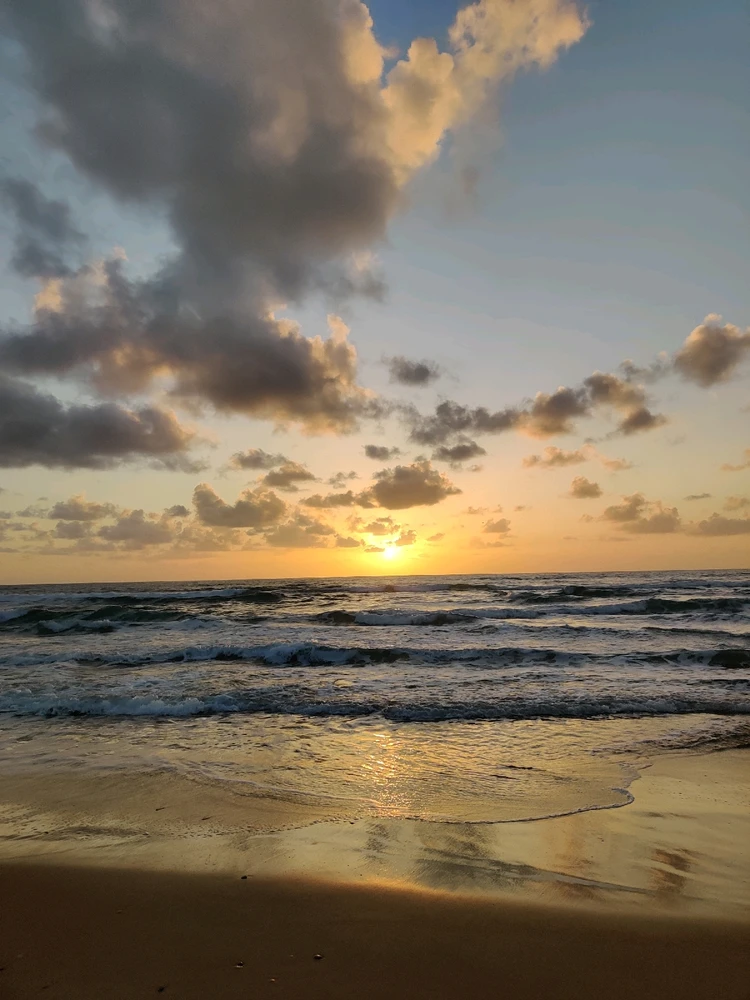 צבעי שקיעה מהממים, לרקע שמיים ועננים 🌻