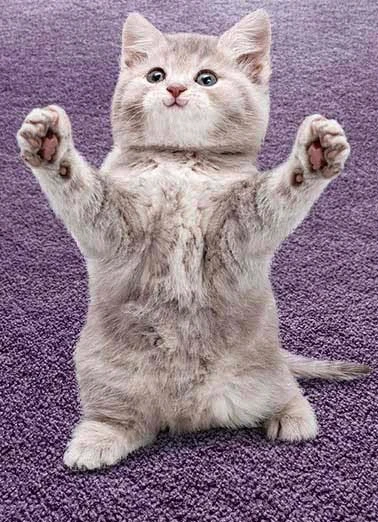 Bild hochgeladen von Leo