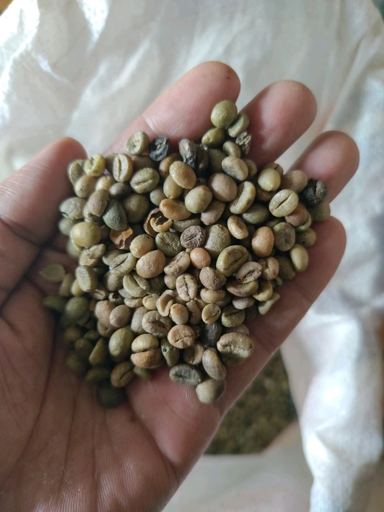 Gambar diunggah oleh ERsya
