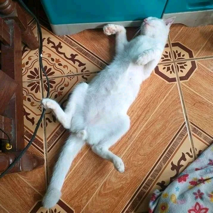 I-upload ni Angel ang larawan